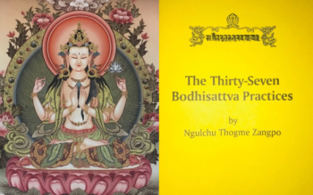 bodhisattva